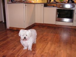 pict0060.jpg